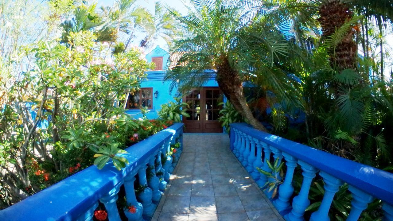 De Cuba Bed & Breakfast Noord Zewnętrze zdjęcie