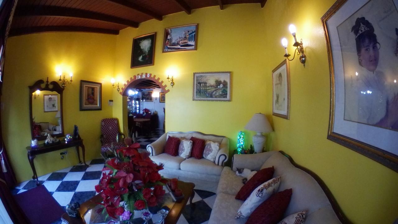De Cuba Bed & Breakfast Noord Zewnętrze zdjęcie