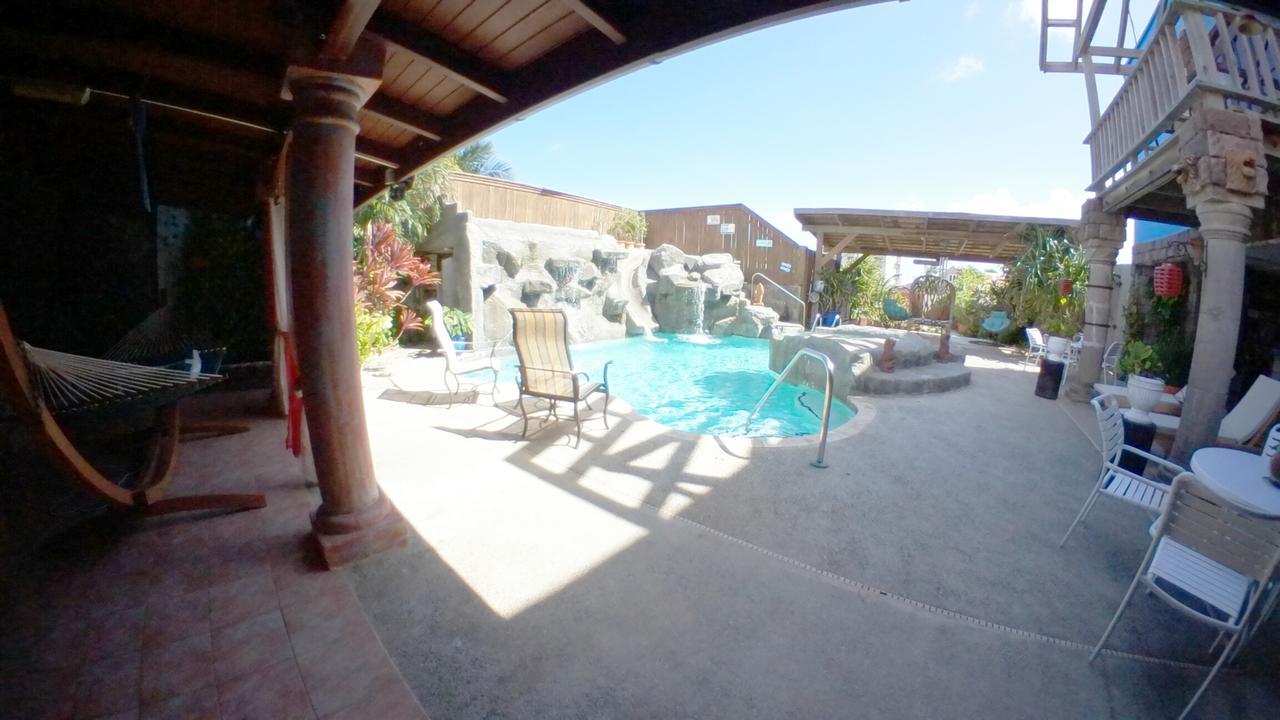 De Cuba Bed & Breakfast Noord Zewnętrze zdjęcie