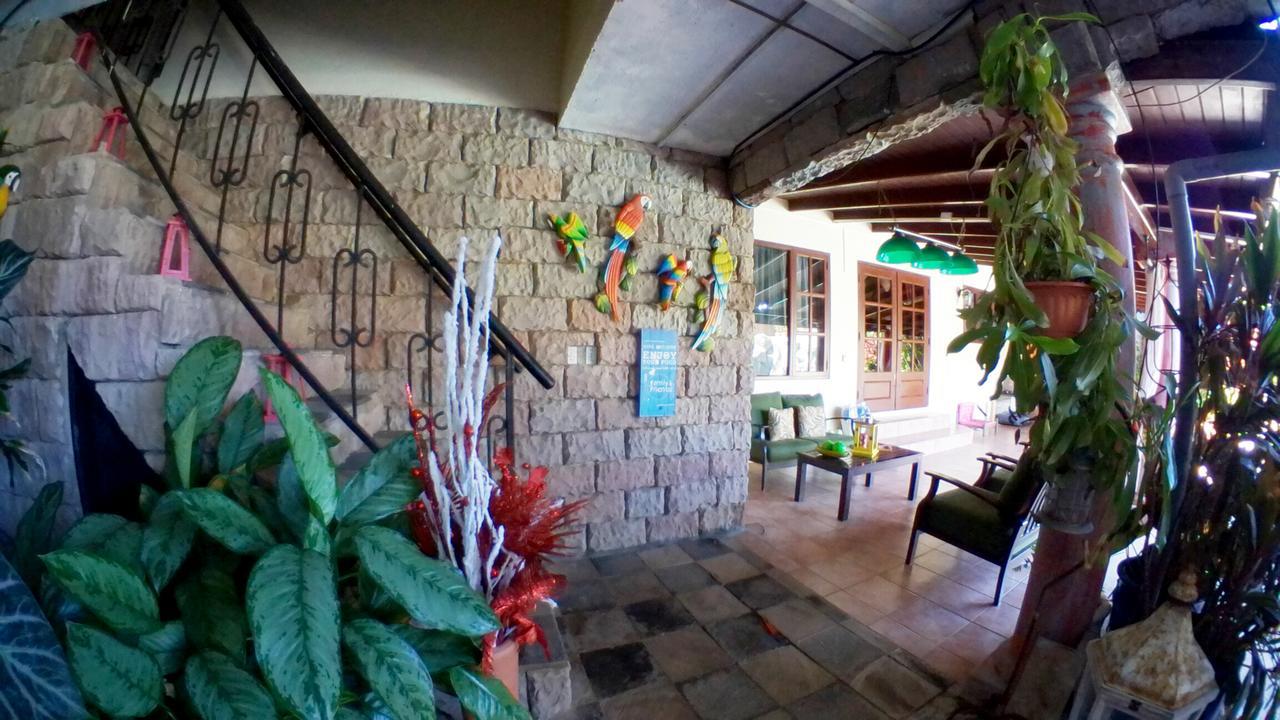 De Cuba Bed & Breakfast Noord Zewnętrze zdjęcie
